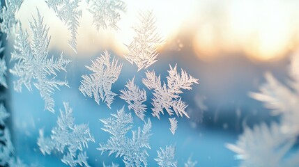 Frosty Snowflakes on Glass with Soft Winter Light Background