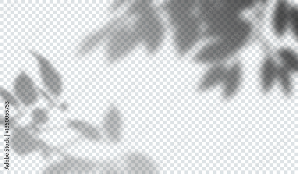 Poster tree leaf shadow background. transparent plant branches with leaves. overlay vector effect. summer f