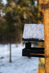 A wooden bird feeder covered with snow hangs on a tree in a winter forest. The golden sunlight highlights the peaceful atmosphere