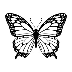 Butterfly Vector, Butterfly graphic art , icon, Silhouette on Transparent Background, High Resolution PNG