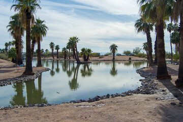aerial shot of a gorgeous landscape at Papago Park with a lake, lush green palm trees and rocks in...