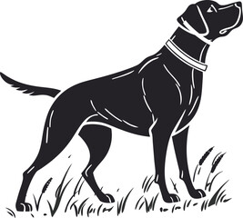 vector illustration of a black dog