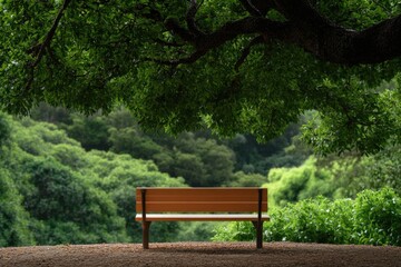 Serene bench nestled under lush canopy, inviting moments of refl