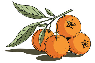 29 bright orange citrus fruits, stacked oranges, vibrant color, fresh produce, healthy food, round shapes, smooth texture, natural lighting, white background, studio photography, high detail, realisti