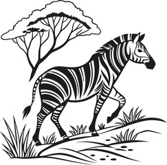 Obraz premium zebra on a white background