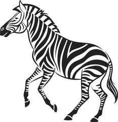 zebra isolated on white background