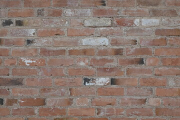 A brick wall with a white brick in the middle
