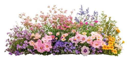 PNG Pastel Colorful flower bush flowers colorful arrangement.