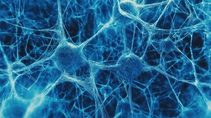 Detailed view of nerve cells and network