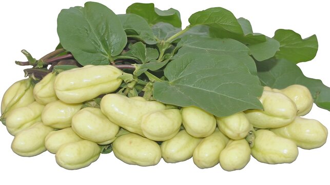 Pile of mature vegetables with leaves, fresh and wholesome harvest