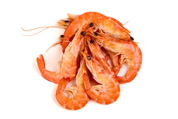 Cooked shrimps, isolated on white background.