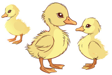 37 Aloe vera leaf, photorealistic, high detail, isolated on white background, transparent gel texture, spiky edges, botanical illustration, soft lighting, macro photography, fresh green color, succule