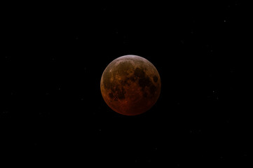 Blood moon tinged red with a little white as its approaching full of Eclipse