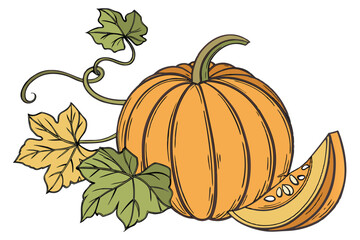 41 Orange pumpkins, realistic, detailed texture, vibrant color, fall harvest, studio lighting, white background, high resolution, macro photography, symmetrical composition, Halloween decor, Thanksgiv