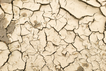 Brown soil dried up with cracks on a bright sunny day