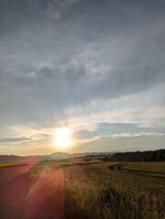 sunset in the field