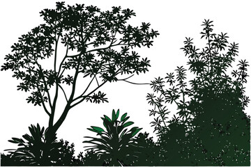 45 Dense foliage, lush green vegetation, isolated plant cluster, floating botanical specimen, vibrant nature, textured leaves, organic shape, white background, high detail, photorealistic, studio ligh