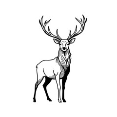 Minimalist Monoline Vector Logos Dynamic People & Tech Icons in Stencil Style

