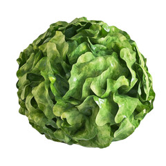 Fototapeta premium Lush Green Lettuce Abstract Art Vibrant Nature