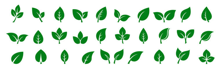 Leaf icons set. Suitable for nature, energy and health concepts. Isolated on white background.
