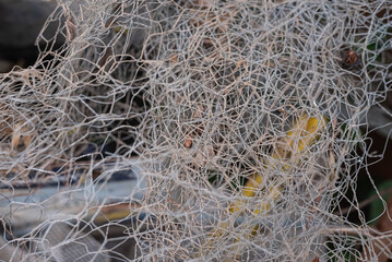 Photo of a residential security fence