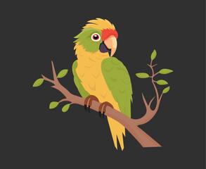 Cute Parrot, vector illustration with black background