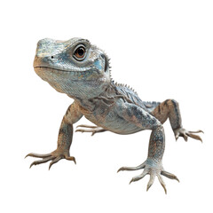 Obraz premium Majestic Lizard Posing Boldly Abstract Background