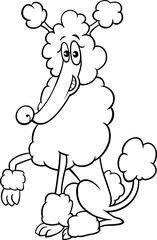 cartoon poodle purebred dog animal character coloring page