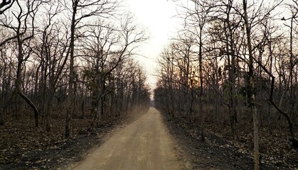 sunset in the morning