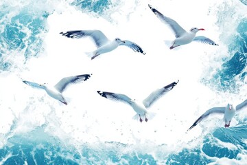 Obraz premium Seagulls soaring above beach waves in a peaceful ocean view