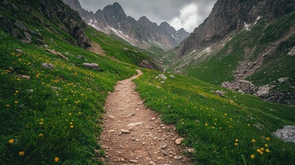 Mountain trail wildflowers alpine valley hiking scenic travel
