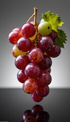 Fototapeta premium Fresh Red Grapes Hanging Against a Soft Neutral Background