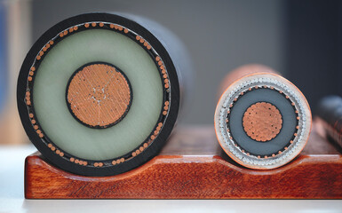 Two wires are shown side by side, one of which is larger than the other. The larger wire is...