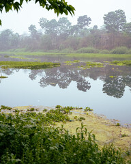 Lake in West Bengal