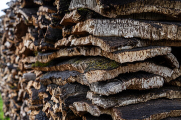 Cork collected in cork oak forests near Taida, Rift mountains, Morocco, North Africa