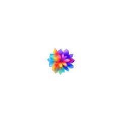 colorful flower background
