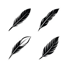 Sleek feather silhouette with a sharp 2