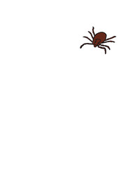 tick