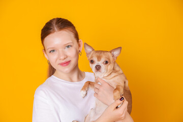 Teenage girl with her cute Chihuahua dog on yellow background, space for text