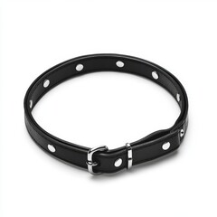 Stylish Black Leather Dog Collar with Metal Studs
