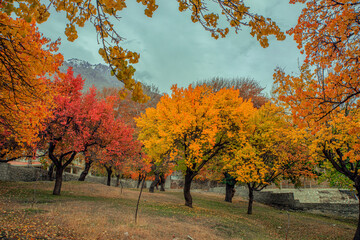 Rolling grassy terrain with fallen leaves; mountains in the background