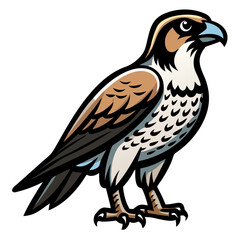 Fototapeta premium a stylized illustration of a falcon bird in a standing pose, bird with strong, determined gaze, brown feathers