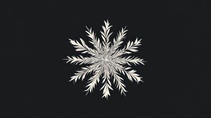 White snowflake design, dark background, winter holiday, graphic element
