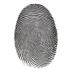 Fingerprint png, high contrast fingerprint scan, biometric fingerprint isolated, detailed fingerprint on transparent background