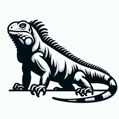 iguana vector illustration