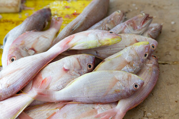 A fresh catch of small fish laid out on a worn marble countertop, their silvery scales glistening...