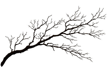 Fototapeta premium Colorful Lights on Bare Tree Branch Against Transparent Background, PNG
