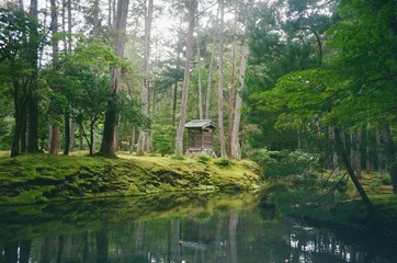 moss garden in kyoto