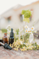 Collection of various amber essential oil bottles with assortment of flowers and herbs in natural outdoor garden setting