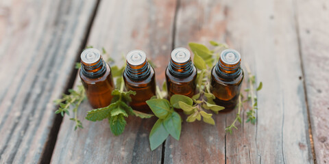 Collection of four amber essential oil bottles in natural outdoor setting with fresh herbs